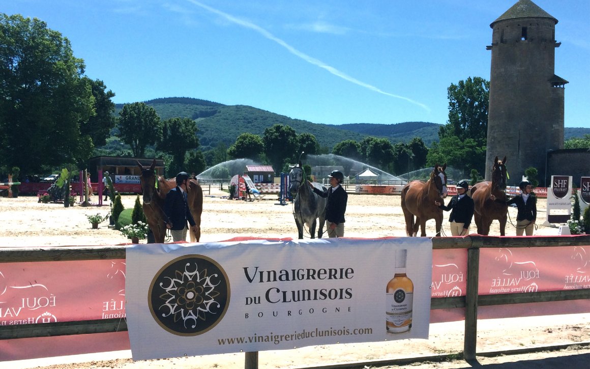 VINAIGRERIE DU CLUNISOIS