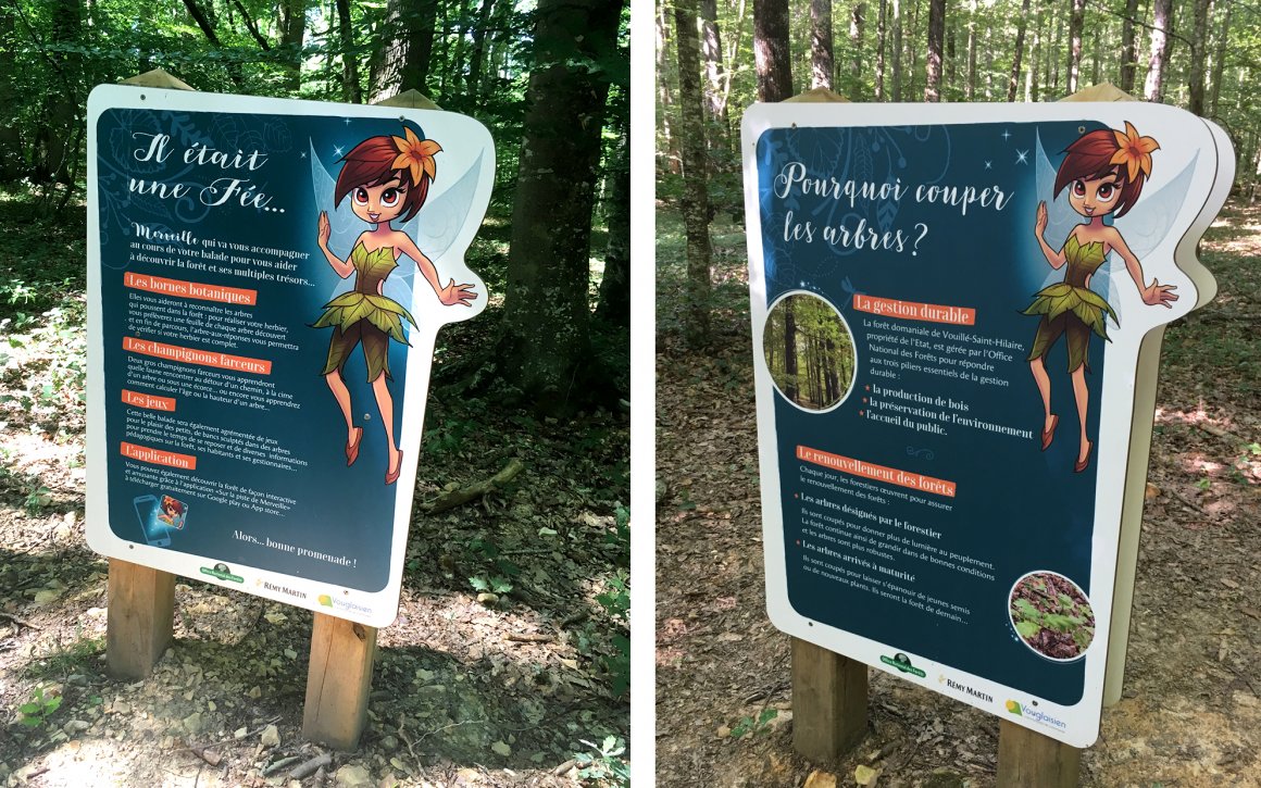 SIGNALÉTIQUE PARCOURS EN FORÊT ONF