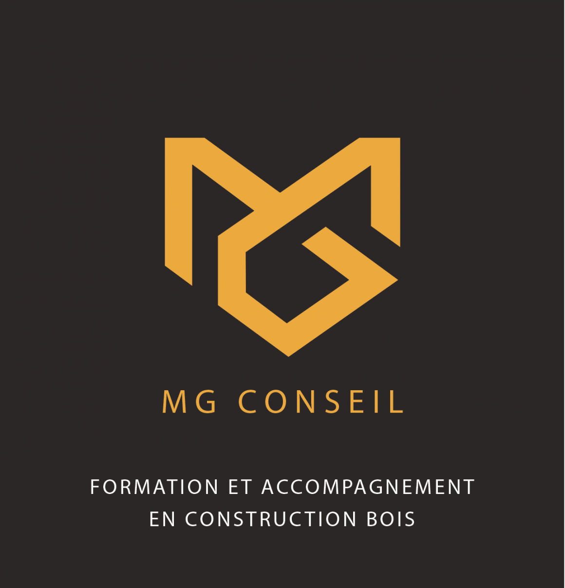 MG CONSEIL