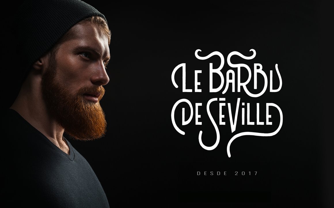 LE BARBU DE SÉVILLE